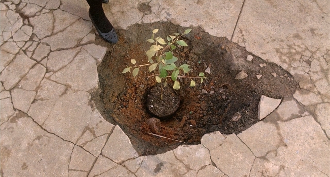 甜妹妹剧照的剧照