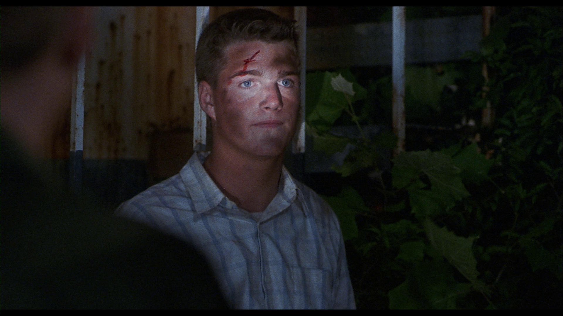 蓝色天空剧照的剧照