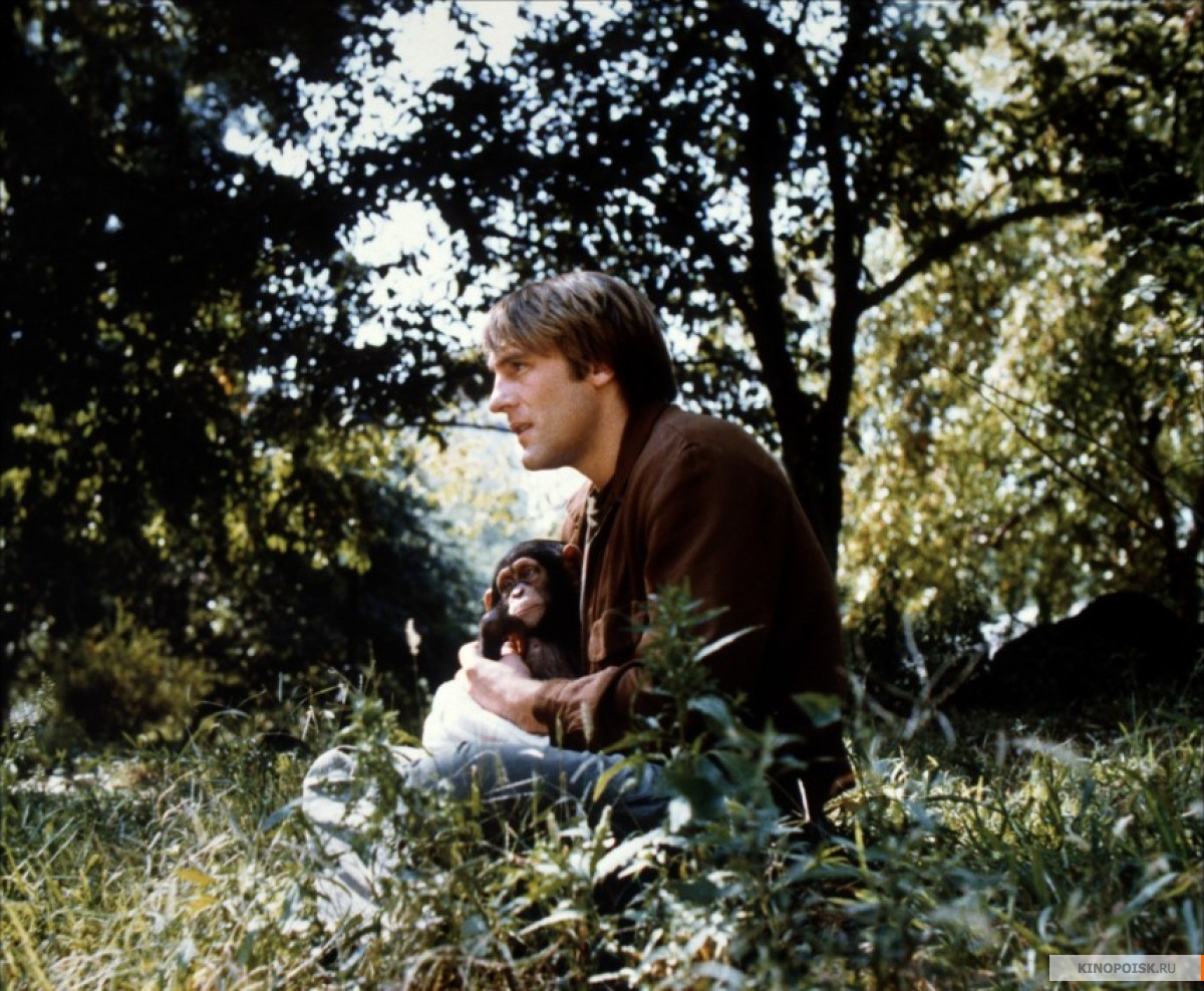 猴子再见剧照的剧照