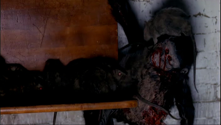 猴子再见剧照的剧照