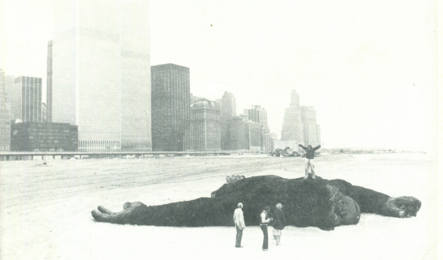 猴子再见剧照的剧照