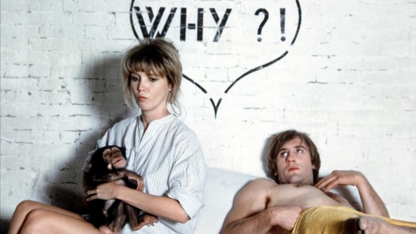 猴子再见剧照的剧照