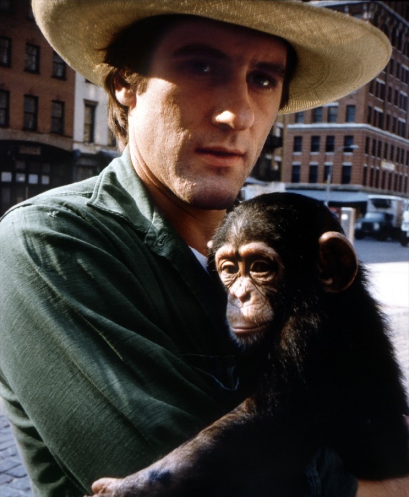 猴子再见剧照的剧照