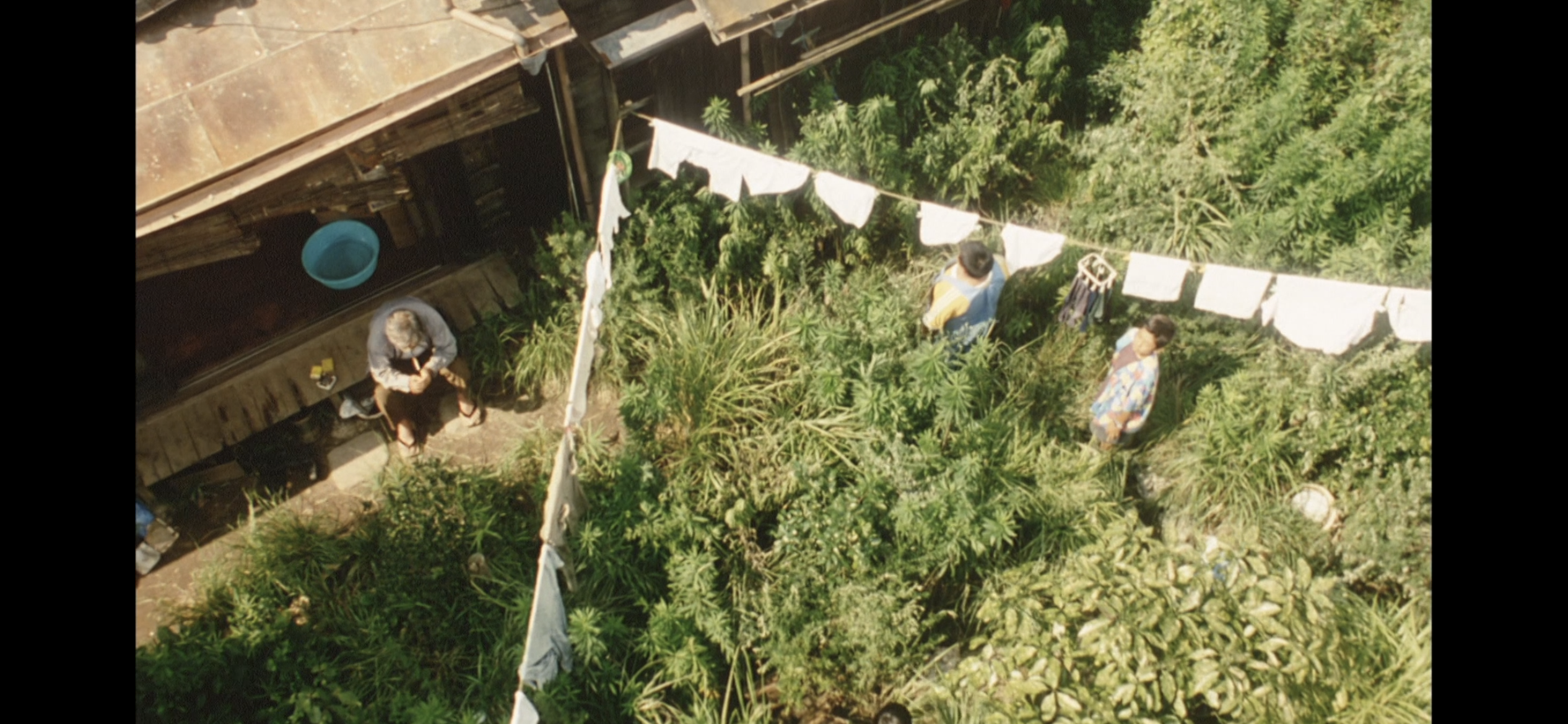 夏日的庭院剧照的剧照