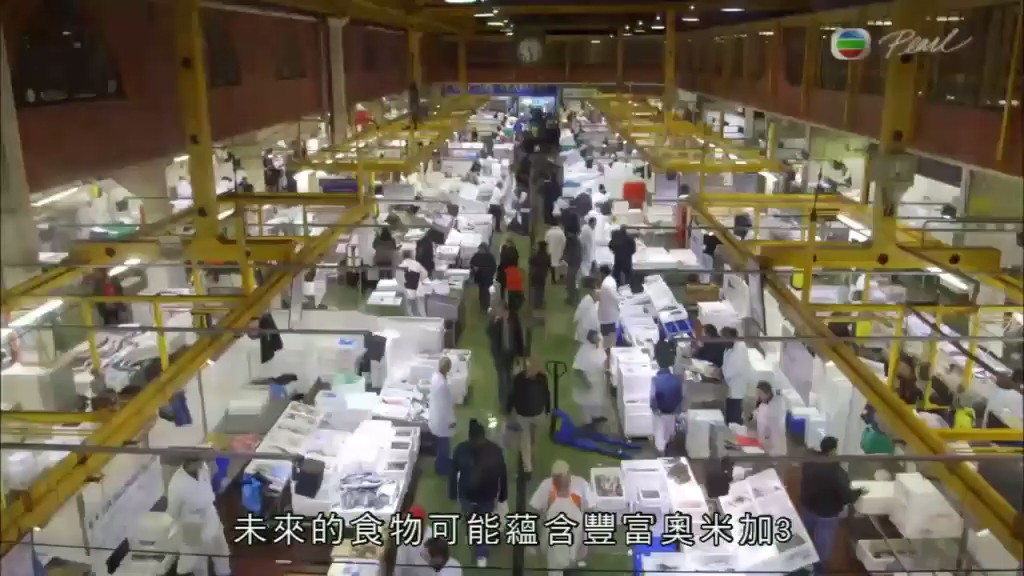 肥胖的真相剧照的剧照