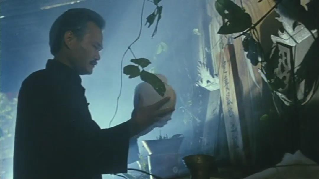 甩皮鬼剧照的剧照