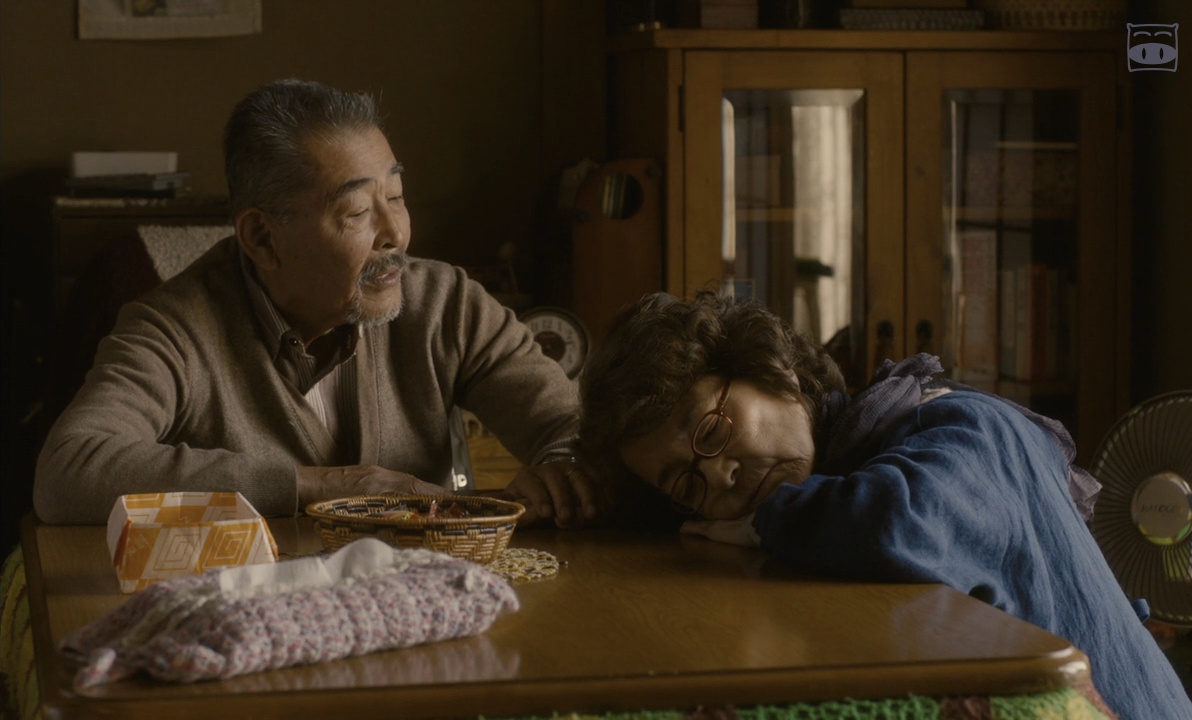 只有猫知道剧照的剧照