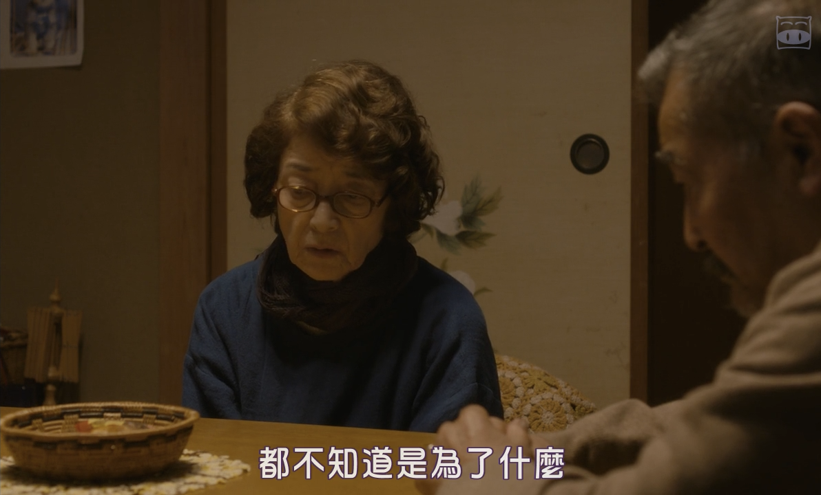 只有猫知道剧照的剧照