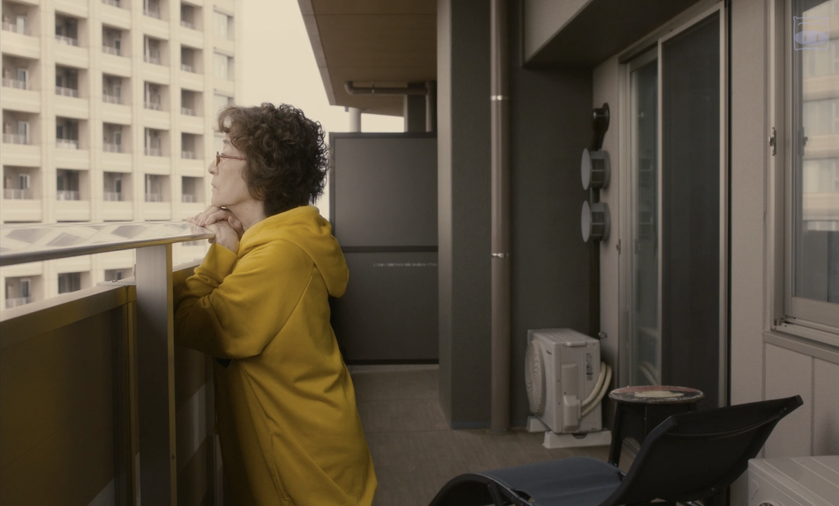 只有猫知道剧照的剧照