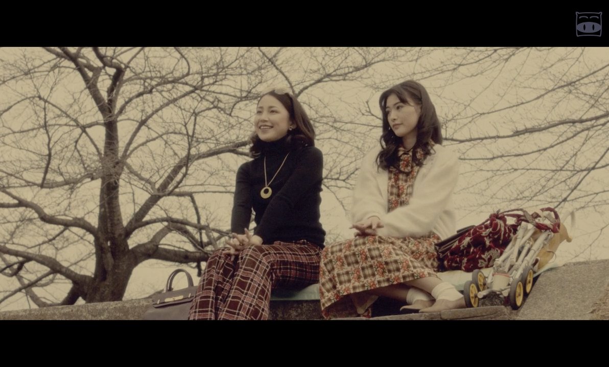 只有猫知道剧照的剧照