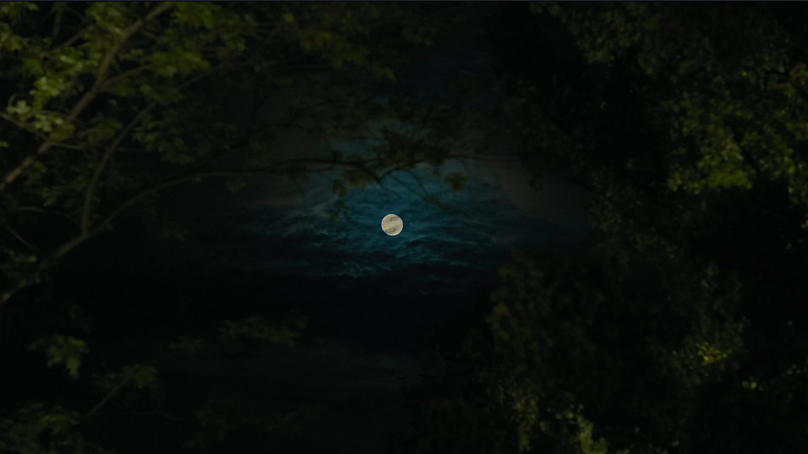 春江水暖剧照的剧照