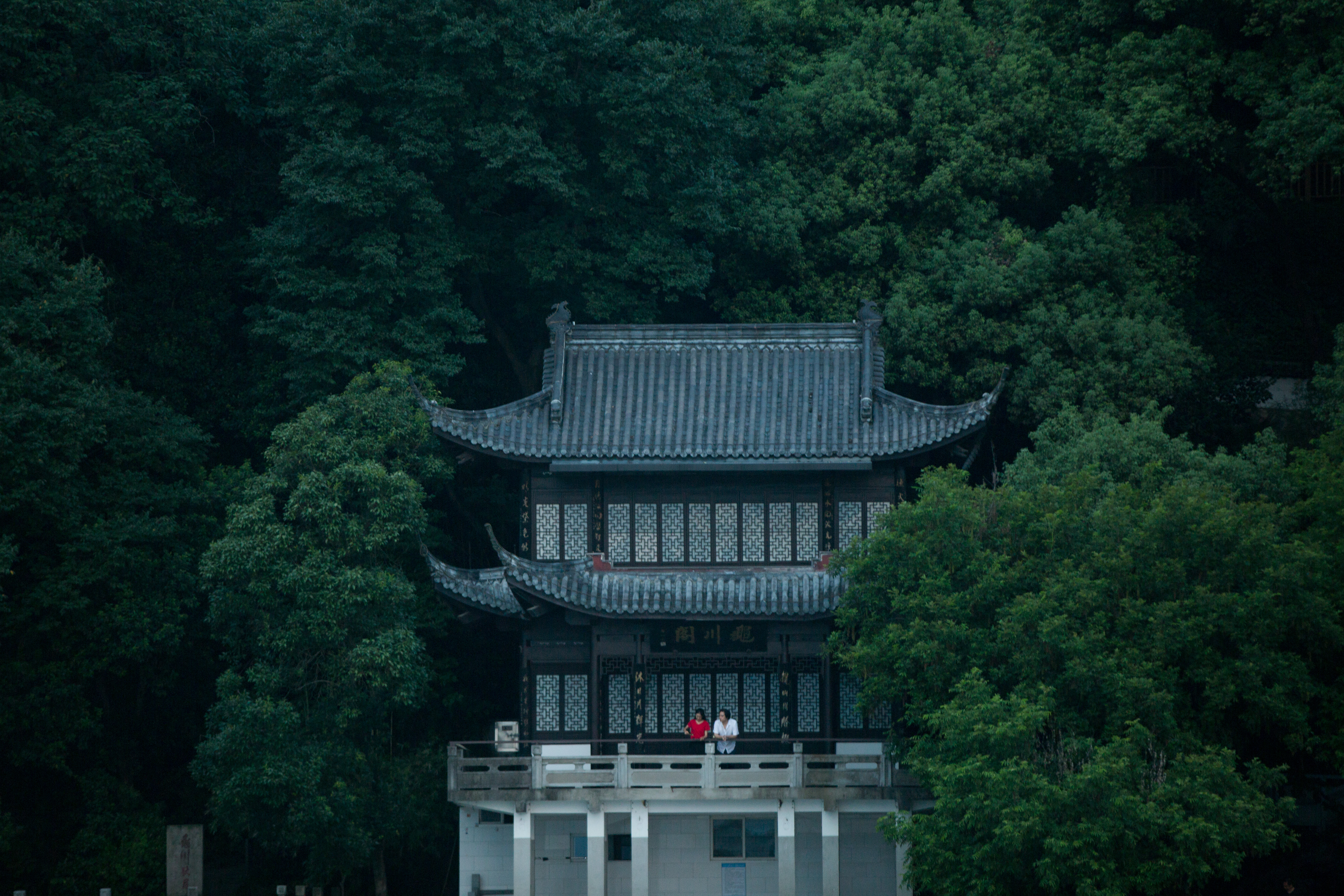 春江水暖剧照的剧照