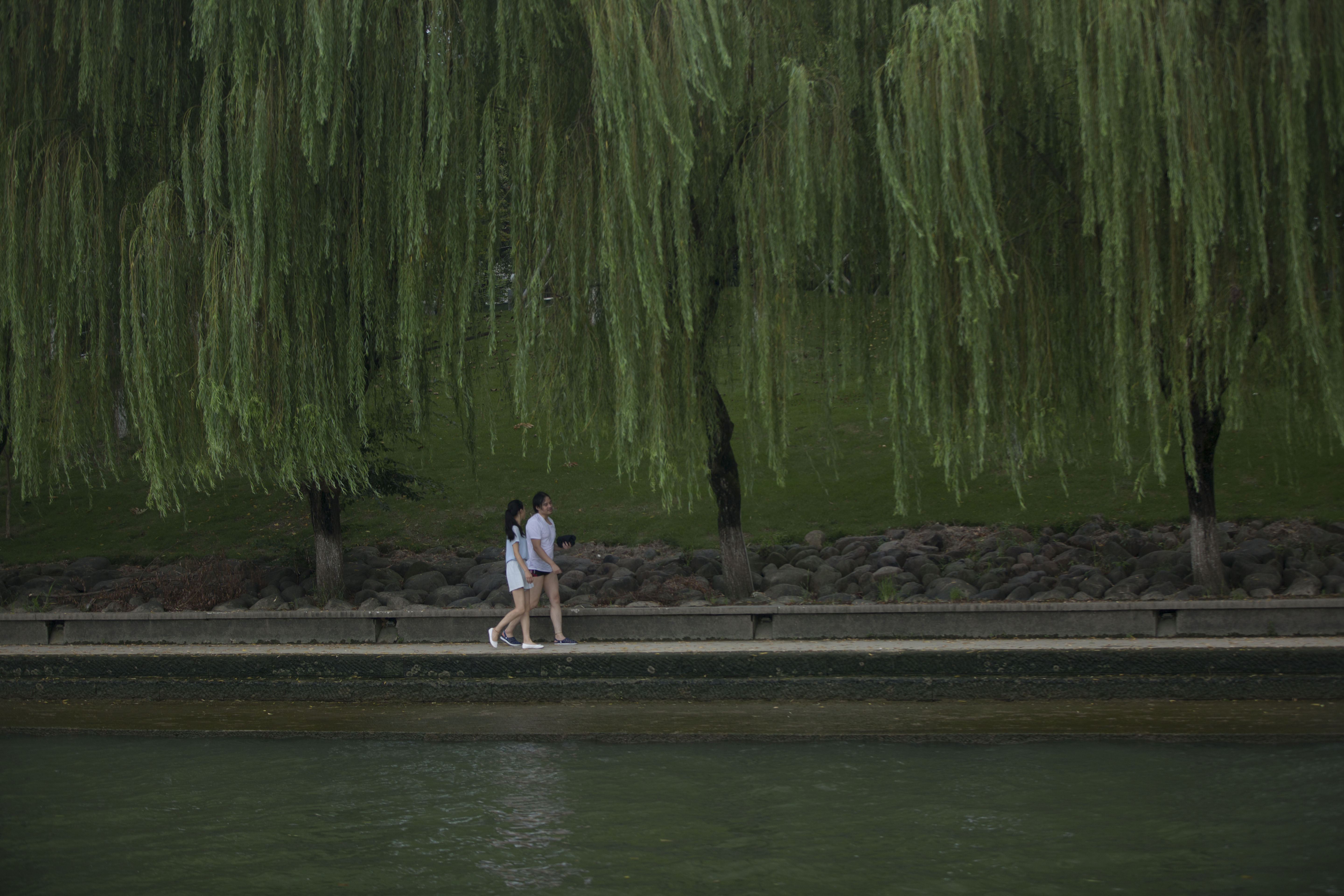 春江水暖剧照的剧照