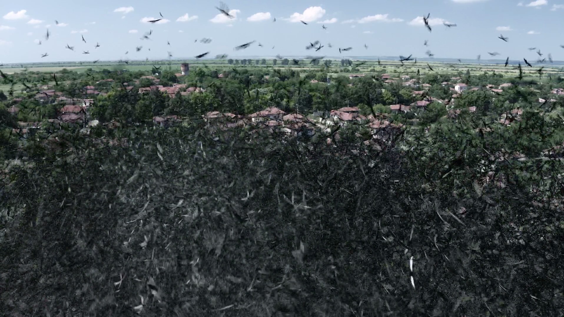 纳粹霸主剧照的剧照