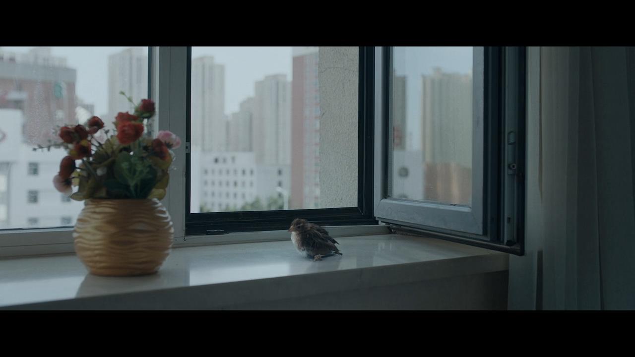 别告诉她剧照的剧照