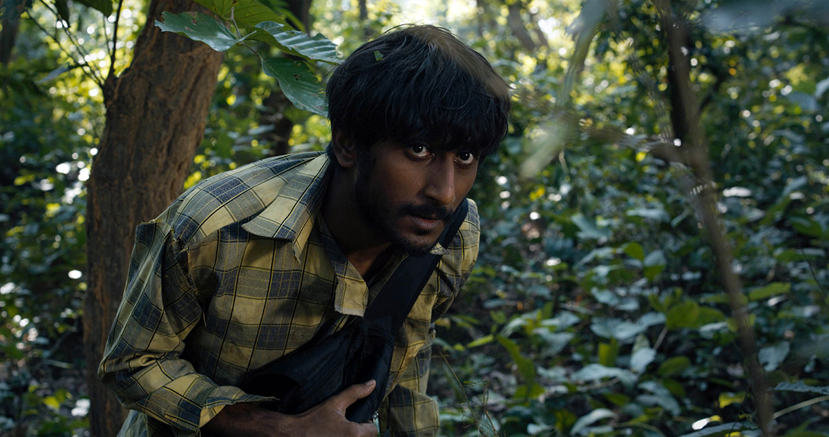 蘑菇剧照的剧照