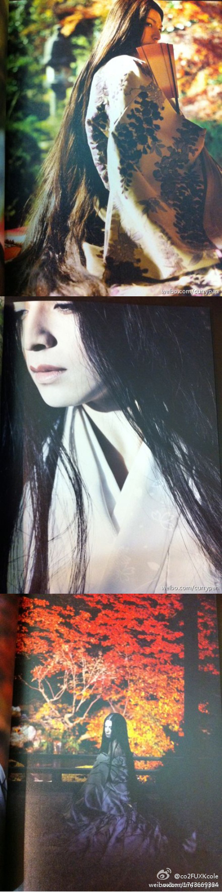 源氏物语：千年之谜剧照的剧照