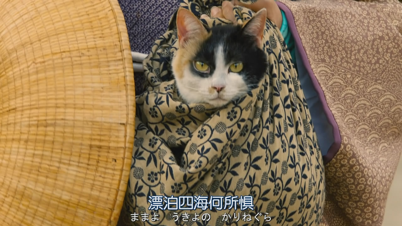 搬迁的大名剧照的剧照