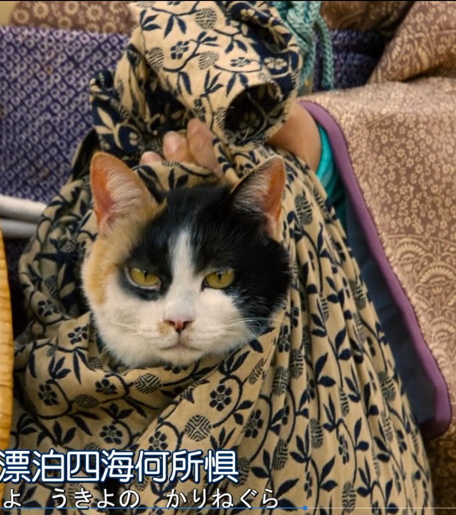 搬迁的大名剧照的剧照