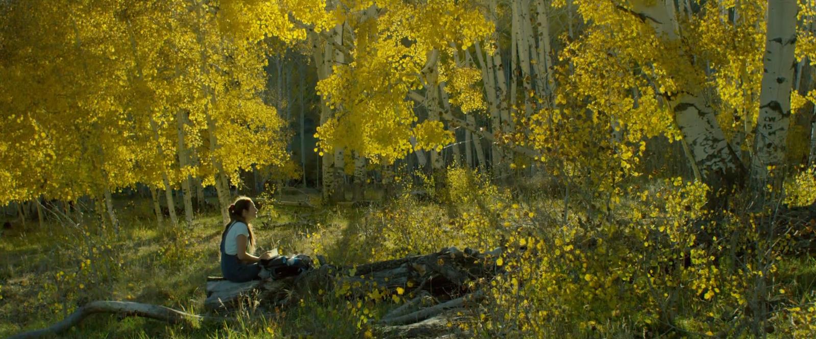 公路冤家剧照的剧照