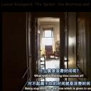 路易斯·布尔乔亚：蜘蛛、情妇与橘子剧照