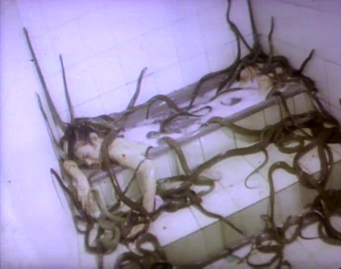 人蛇大战剧照的剧照