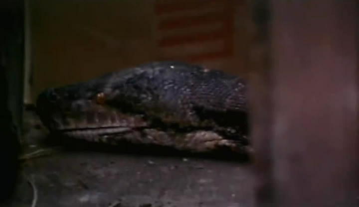 人蛇大战剧照的剧照