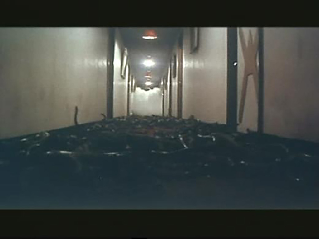 人蛇大战剧照的剧照