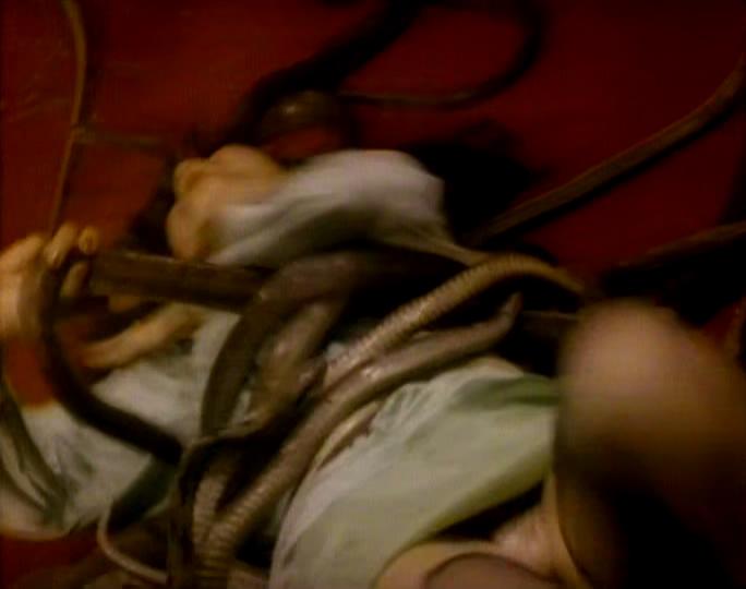 人蛇大战剧照的剧照