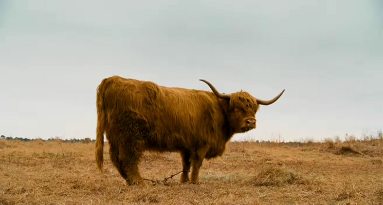 元年剧照的剧照