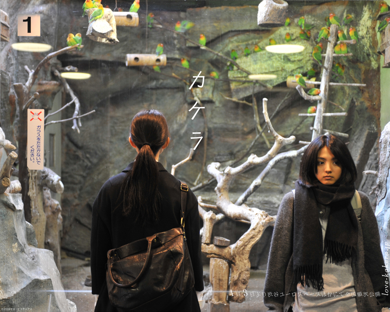 碎片剧照的剧照