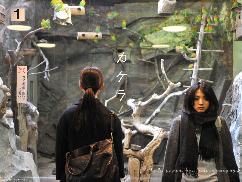 碎片剧照的剧照