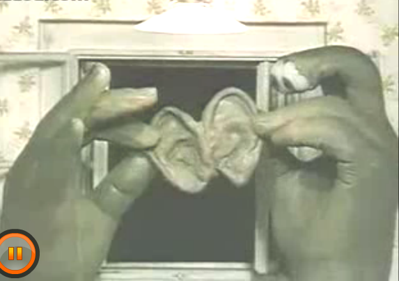 黑暗 光明 黑暗剧照的剧照