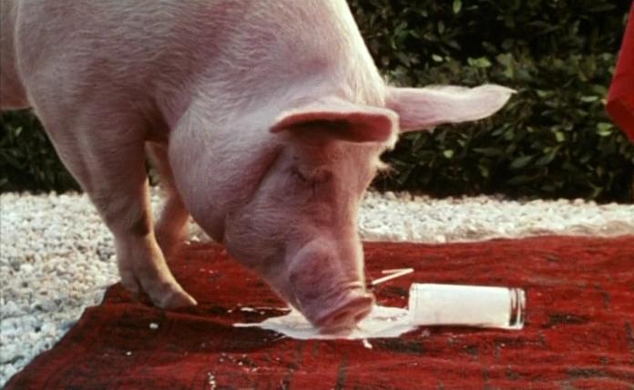 八又二分一女人剧照的剧照