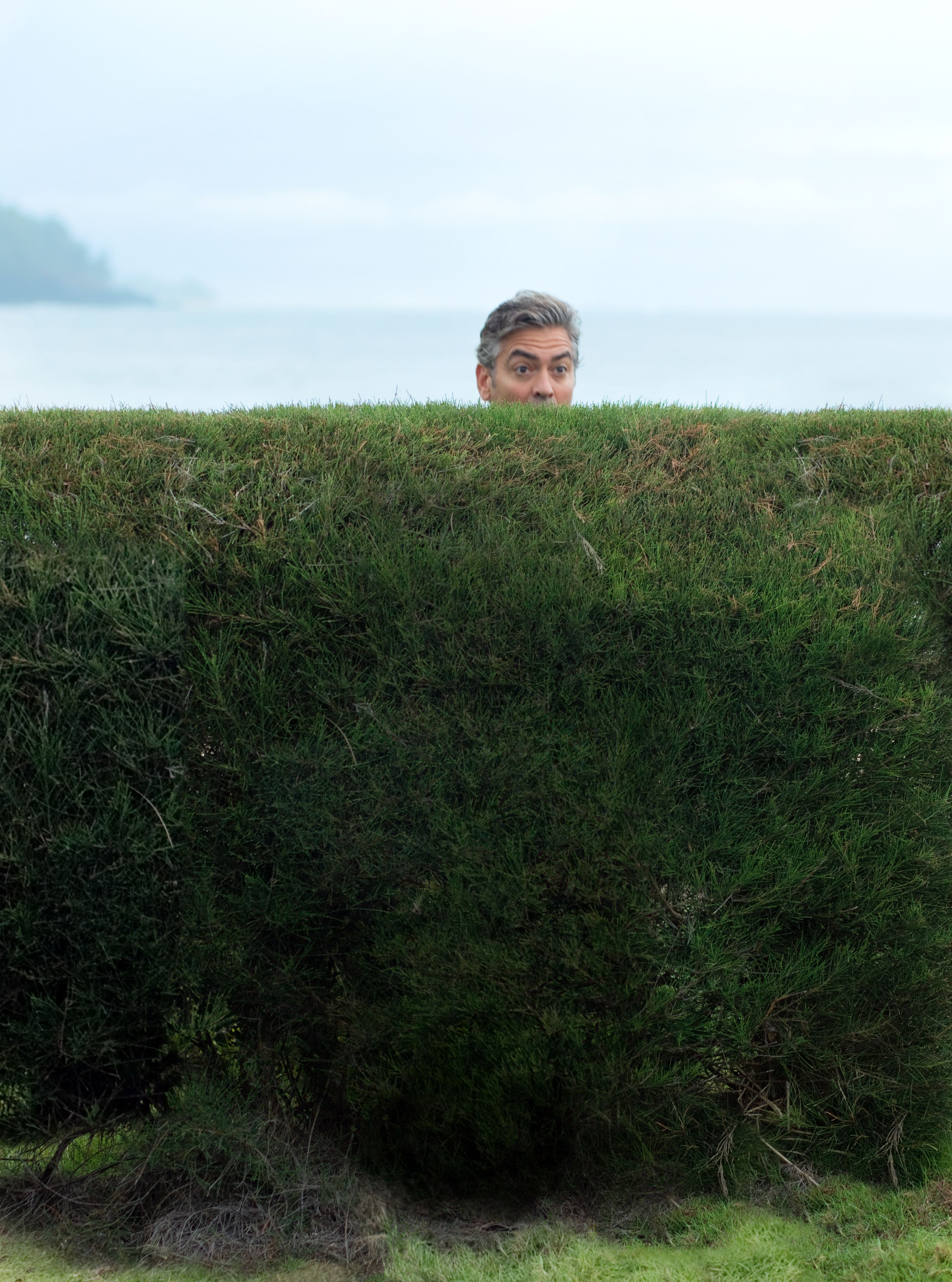 后裔剧照的剧照