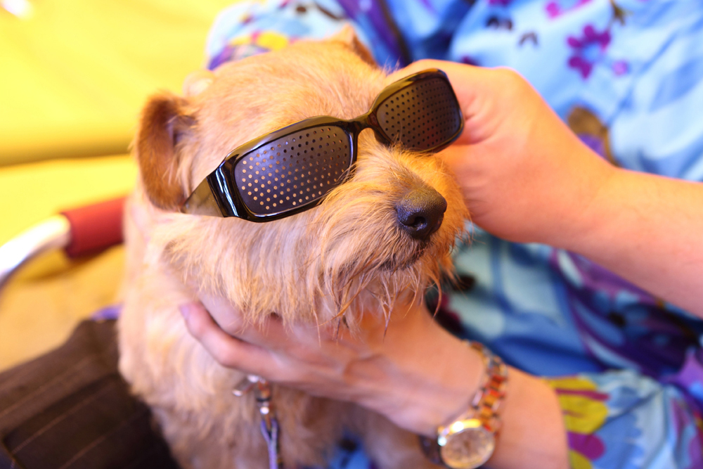 男人使用说明书剧照的剧照