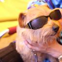 男人使用说明书剧照