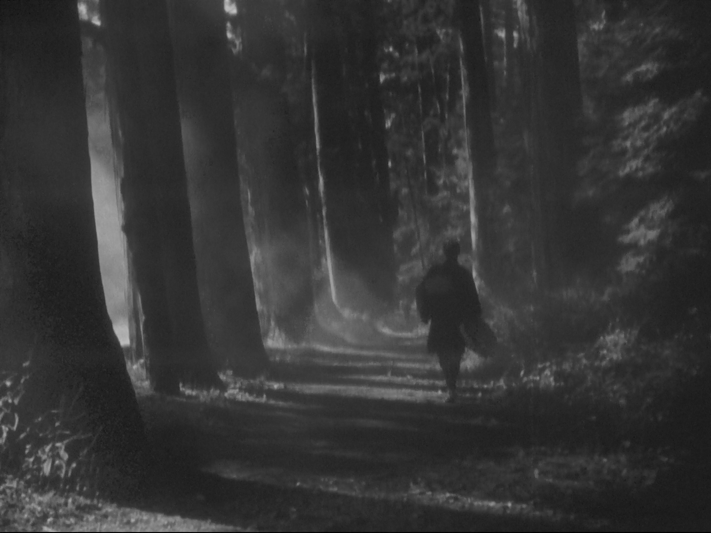 歌女五美图剧照的剧照