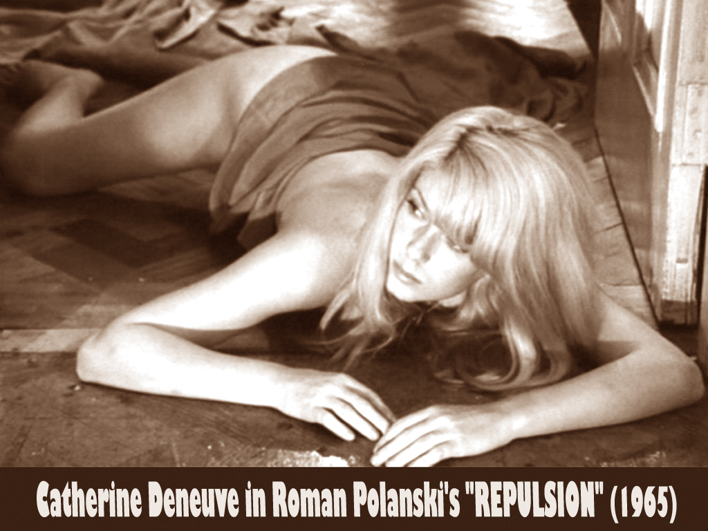 冷血惊魂剧照的剧照