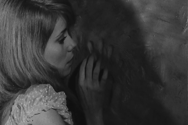 冷血惊魂剧照的剧照