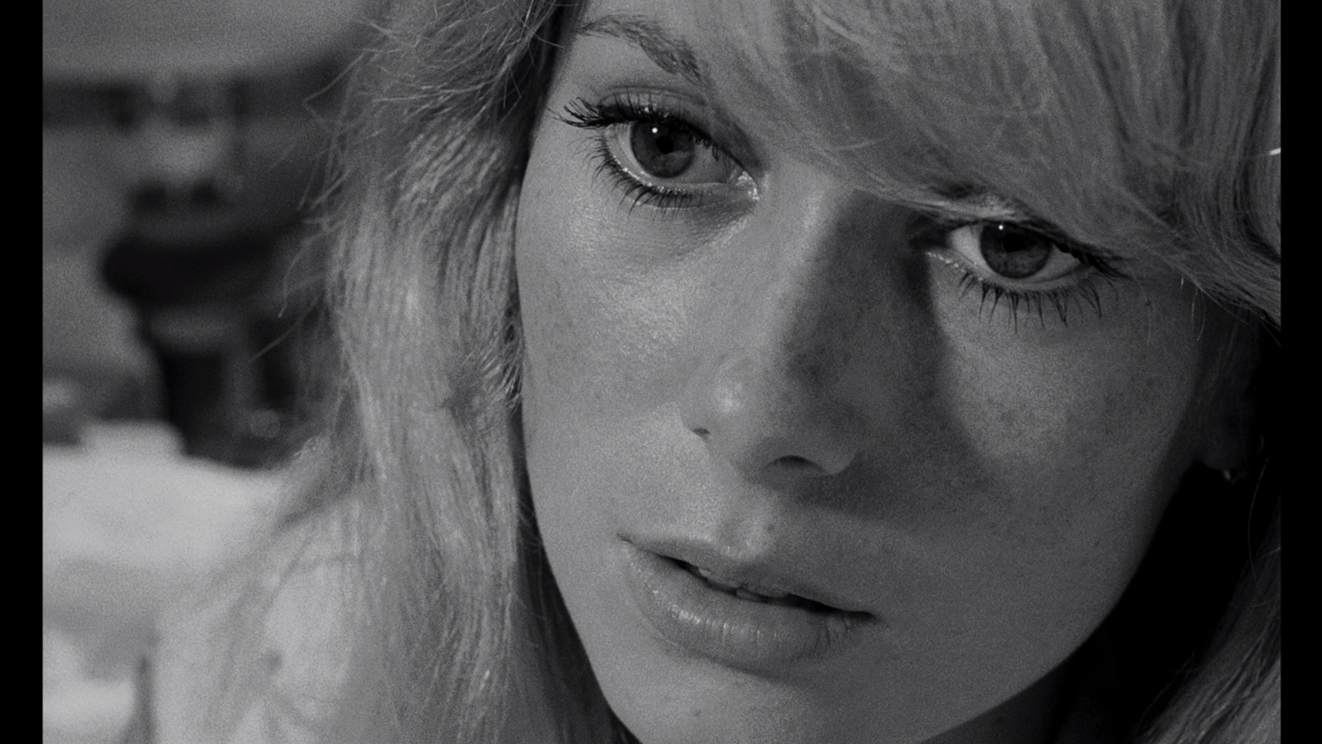 冷血惊魂剧照的剧照