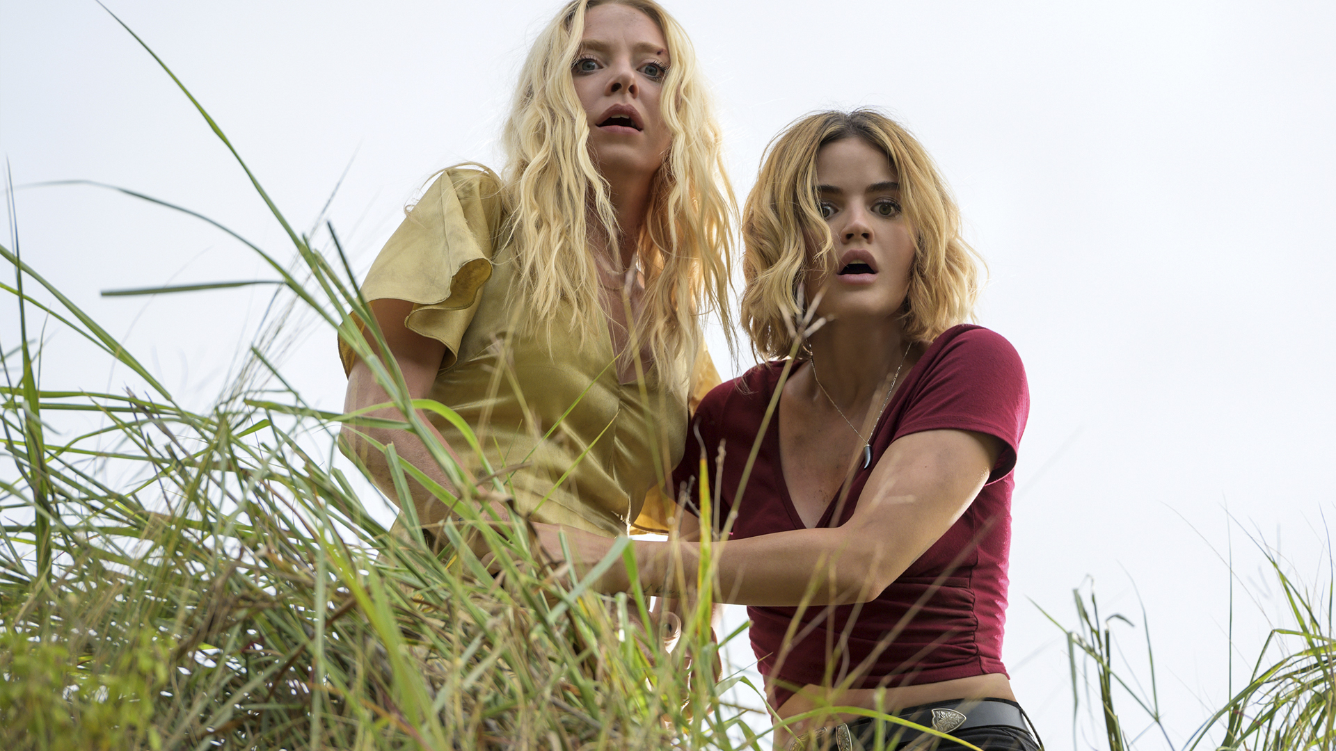 梦幻岛剧照的剧照