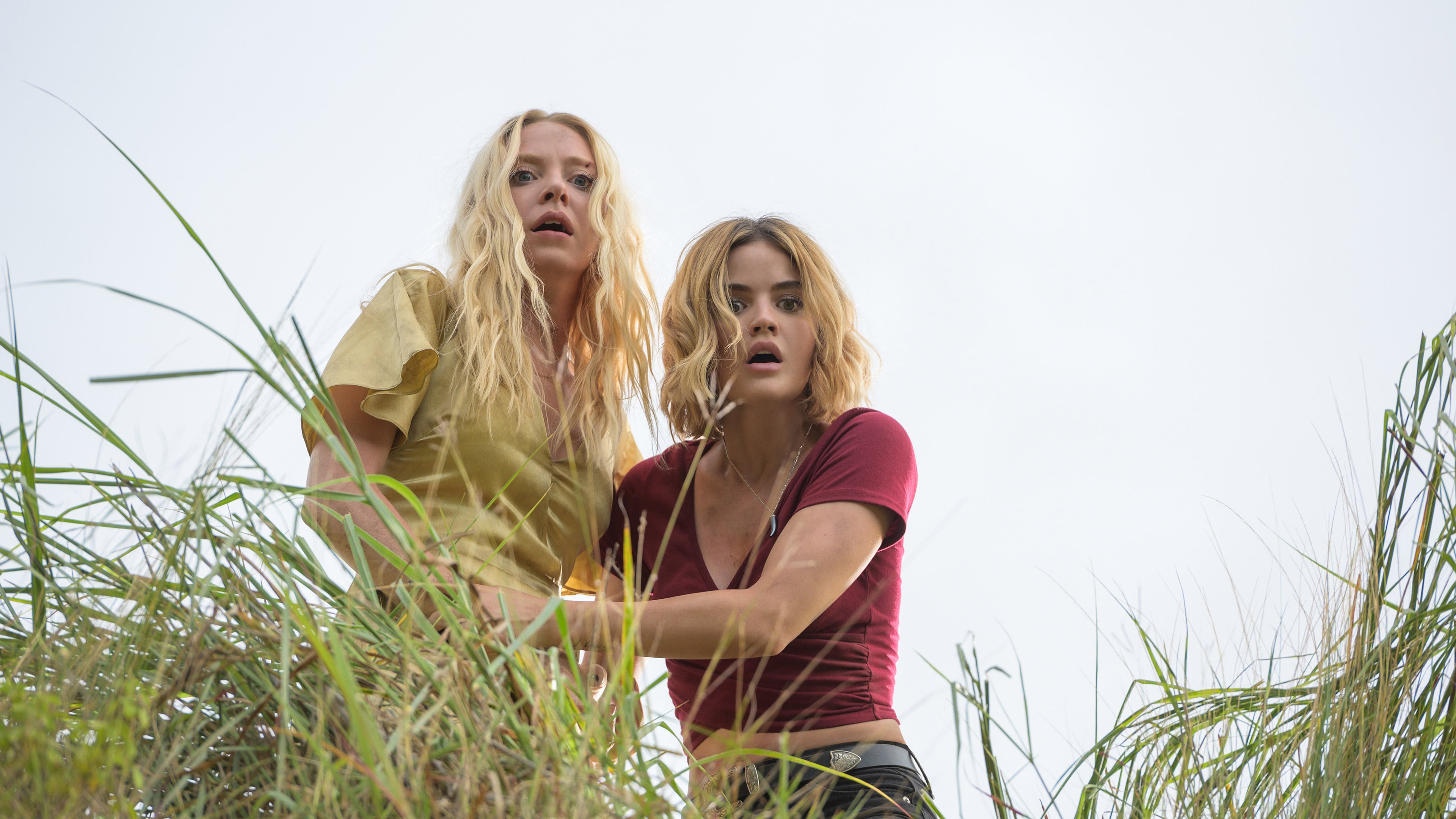 梦幻岛剧照的剧照