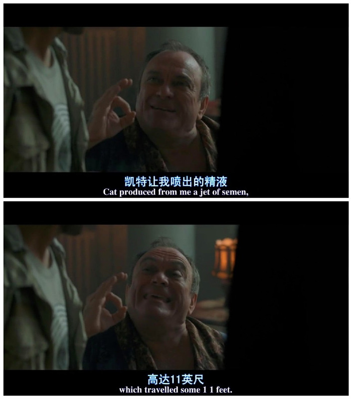 性感女特工剧照的剧照