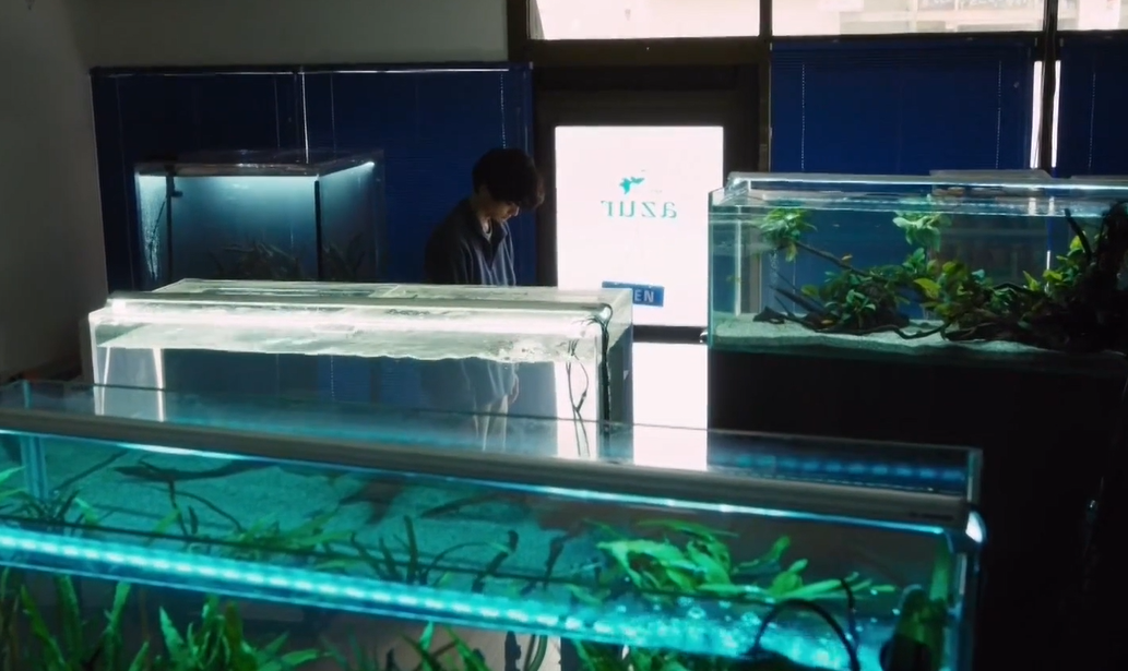 我在你床下剧照的剧照