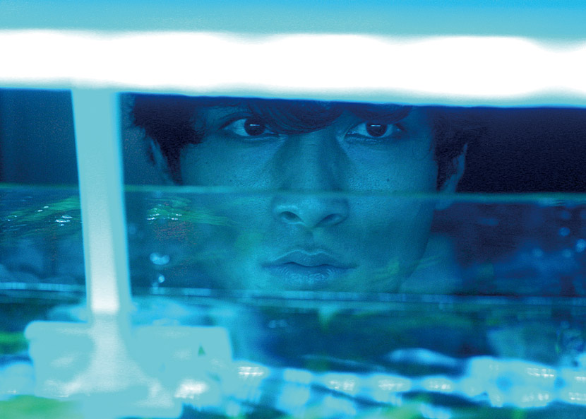 我在你床下剧照的剧照