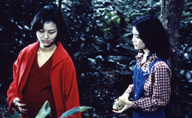 疯劫剧照的剧照