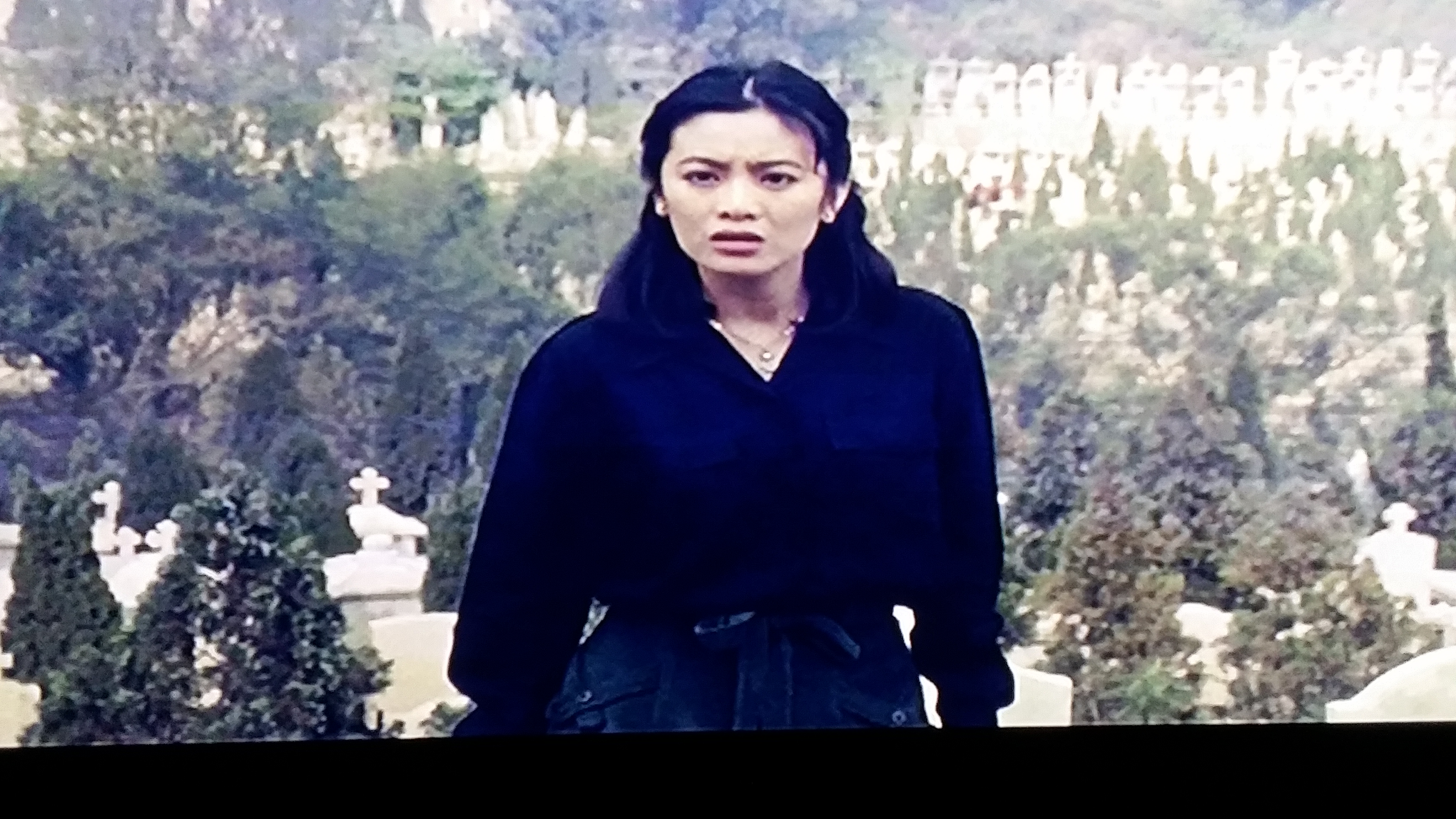 疯劫剧照的剧照