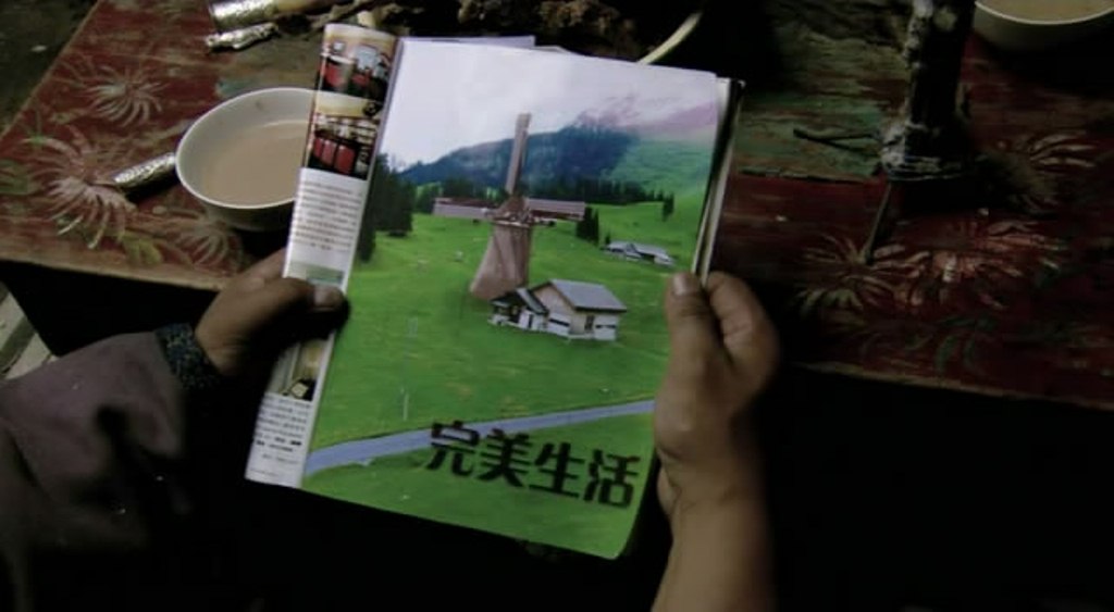 绿草地剧照的剧照