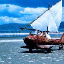 非洲历险记剧照